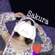 ヒメ日記 2025/09/13 08:57 投稿 さくら ルージュ(会津若松)