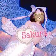 さくら 今月最終日 ルージュ(会津若松)