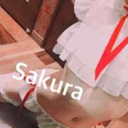ヒメ日記 2026/09/23 01:03 投稿 さくら ルージュ(会津若松)