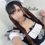 れいか わんわん募集中♡ 変態なんでも鑑定団