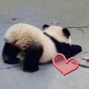 ヒメ日記 2026/02/14 21:16 投稿 十和子(とわこ) 五十路エステハイブリッド(カサブランカグループ)