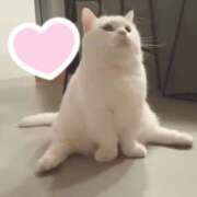 ヒメ日記 2026/02/23 17:10 投稿 十和子(とわこ) 五十路エステハイブリッド(カサブランカグループ)