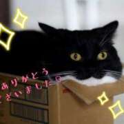 ヒメ日記 2026/04/11 22:02 投稿 十和子(とわこ) 五十路エステハイブリッド(カサブランカグループ)