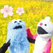 ヒメ日記 2026/05/09 19:56 投稿 十和子(とわこ) 五十路エステハイブリッド(カサブランカグループ)