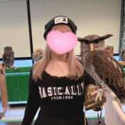 ヒメ日記 2025/01/08 23:18 投稿 かなん 静岡♂風俗の神様 静岡店