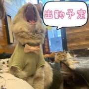 ヒメ日記 2025/02/02 18:08 投稿 かなん 静岡♂風俗の神様 静岡店