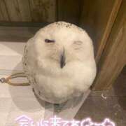 ヒメ日記 2025/02/19 19:48 投稿 かなん 静岡♂風俗の神様 静岡店