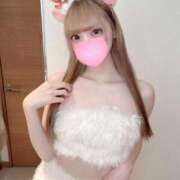 ヒメ日記 2025/12/23 11:08 投稿 せれな 姫コレクション 高崎前橋店