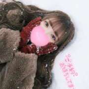 ヒメ日記 2026/02/11 17:10 投稿 せれな 姫コレクション 高崎前橋店