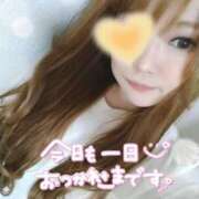 ヒメ日記 2025/08/05 14:48 投稿 おと ぷよステーション 蒲田店