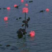 ヒメ日記 2025/09/30 01:58 投稿 おと ぷよステーション 蒲田店