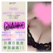 ヒメ日記 2024/12/29 12:13 投稿 ありさ 素人巨乳ちゃんこ「東千葉店」