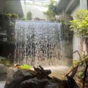 ヒメ日記 2025/05/11 10:15 投稿 ～現役看護師～音羽さん グッドスマイル