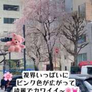 ヒメ日記 2025/04/11 12:04 投稿 知花 ANECOTE