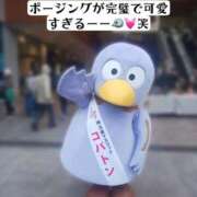 ヒメ日記 2025/04/25 12:06 投稿 知花 ANECOTE