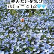 ヒメ日記 2025/05/16 12:01 投稿 知花 ANECOTE