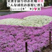 ヒメ日記 2025/05/30 12:00 投稿 知花 ANECOTE