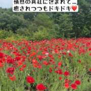 ヒメ日記 2025/06/27 12:04 投稿 知花 ANECOTE