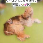 ヒメ日記 2026/03/04 12:04 投稿 知花 ANECOTE