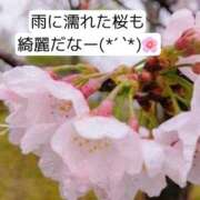 ヒメ日記 2026/04/01 12:01 投稿 知花 ANECOTE