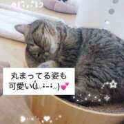 ヒメ日記 2026/04/29 12:02 投稿 知花 ANECOTE