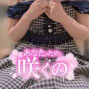 ヒメ日記 2026/05/30 15:01 投稿 知花 ANECOTE