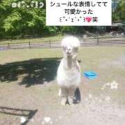 ヒメ日記 2026/06/03 12:05 投稿 知花 ANECOTE