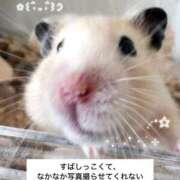 ヒメ日記 2026/10/14 12:05 投稿 知花 ANECOTE