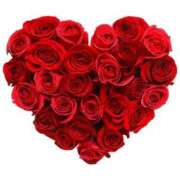 ヒメ日記 2026/03/28 21:55 投稿 おうか 千葉サンキュー