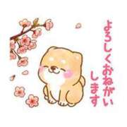 ヒメ日記 2025/04/21 21:00 投稿 うみ 即トク奥さん