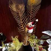 ヒメ日記 2025/11/19 14:57 投稿 まい 宮城♂風俗の神様 仙台店