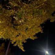 まい ごめんなさい 宮城♂風俗の神様 仙台店