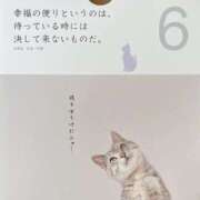 ヒメ日記 2023/09/06 08:55 投稿 さりな 新大阪秘密倶楽部