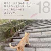 ヒメ日記 2023/09/18 09:20 投稿 さりな 新大阪秘密倶楽部