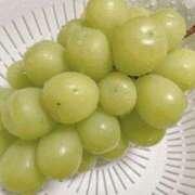 ヒメ日記 2025/01/07 08:25 投稿 さりな 新大阪秘密倶楽部