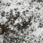 ヒメ日記 2025/02/19 04:05 投稿 さりな 新大阪秘密倶楽部