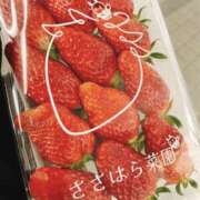 ヒメ日記 2025/02/22 15:50 投稿 さりな 新大阪秘密倶楽部