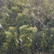 ヒメ日記 2025/03/19 08:15 投稿 さりな 新大阪秘密倶楽部