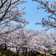 ヒメ日記 2025/04/06 20:00 投稿 さりな 新大阪秘密倶楽部