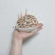 ヒメ日記 2025/05/11 12:00 投稿 さりな 新大阪秘密倶楽部