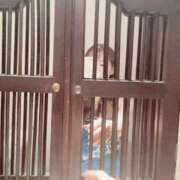 ヒメ日記 2025/05/28 12:00 投稿 さりな 新大阪秘密倶楽部