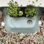 ヒメ日記 2025/06/15 09:40 投稿 さりな 新大阪秘密倶楽部