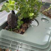 ヒメ日記 2025/07/20 08:00 投稿 さりな 新大阪秘密倶楽部