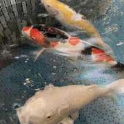 ヒメ日記 2025/08/02 19:20 投稿 さりな 新大阪秘密倶楽部