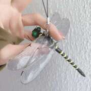 ヒメ日記 2025/08/06 11:35 投稿 さりな 新大阪秘密倶楽部