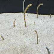 ヒメ日記 2025/10/05 08:40 投稿 さりな 新大阪秘密倶楽部