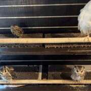 ヒメ日記 2025/10/31 15:15 投稿 さりな 新大阪秘密倶楽部