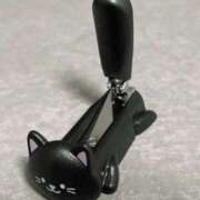 ヒメ日記 2025/11/11 19:20 投稿 さりな 新大阪秘密倶楽部