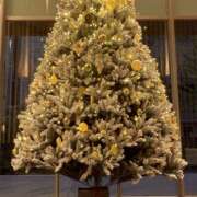 ヒメ日記 2025/11/20 22:25 投稿 さりな 新大阪秘密倶楽部