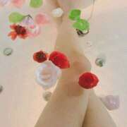 ヒメ日記 2025/11/22 09:10 投稿 さりな 新大阪秘密倶楽部